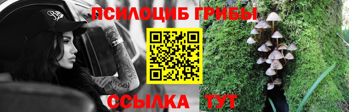 Галлюциногенные грибы ЛСД  где найти наркотики  Ставрополь  Вход с VPN 